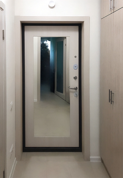 Дверь с зеркальной панелью