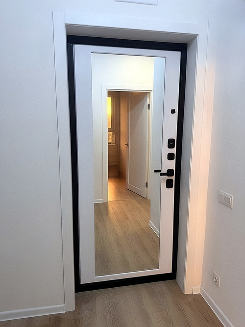 Металлическая дверь с зеркалом