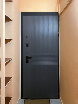 Стальная МДФ дверь